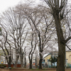 林間公園（相模原市南区東林間）