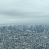 スカイツリーに登って気付いた、水の都・東京