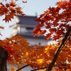 福島県にある赤瓦の名城、鶴ヶ城(会津若松城)の紅葉写真2020　まとめ