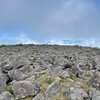 友人たちと八ヶ岳の蓼科山を登ってきました。
