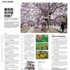 広州の花見攻略法