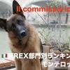 マルコ＆レックス〜ローマ警察シェパード犬刑事☆部門別ランキング⑦ モンテロッソ編