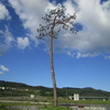 生存報告20230924