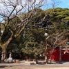 長門市仙崎の八坂神社にはヤマモモの森があります。