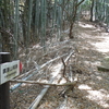 広島県三原市　鎮海山城跡を攻城