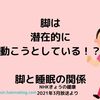 アシは潜在的に動こうとしている！？アシと睡眠の関係