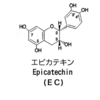 緑茶の科学　カテキン①