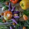 突然ファスティング始まりました。( 笑 )