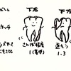 5/22(金)