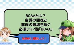 記事を見る