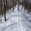 雪山の低登山