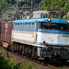 2024/09/08 1063レ EF81 454号機