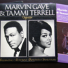 マーヴィン・ゲイ Marvin Gaye と タミー・テレル Tammi Terrell のデマ