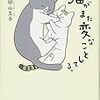 めっちゃ怒ってる猫みたいになってる