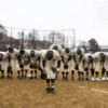 甲子園・夏2015　組み合わせ・日程を掲載！