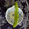 初めてうりずん(四角豆)を食べたI ate urizun (square beans) for the first time
