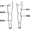 理学療法士　国家試験34-26