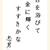 日を浴びて 金に輝く すすきかな