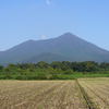 検税使大伴卿が筑波山に登ったときの歌･･･巻第9-1753～1754