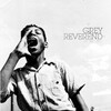  Grey Reverend / Of The Days