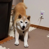 クリンへの想いは尽きなくて・・・23