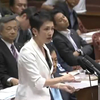 9月4日 蓮舫（民主党 新緑風会）の質疑（全文） 参議院『平和安全特別委員会』