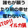 8月4日。和歌山県太地町で開催するイルカ追い込み猟廃止を求めるデモ行進に注目してくださってるマスコミの皆さまへ #イルカビジネスに終止符を #プレスリリース