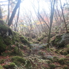 徳島県の水苔の名所・山犬嶽に登ってきました（徳島県）（11/15）