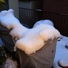 東京地方・積雪速報