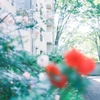 『虎に翼』の寅子の心情をパーツ心理学から読み解く