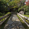 京都の紅葉2017～雨の大原大泉院