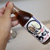 うなぎモヒートとマスクメロンサイダージンの作り方（ジンをご当地サイダーで割って飲む選手権・完全版）