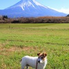 非公認 落花生の日