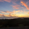 海外旅行に必須アイテム！おすだけベープのロマンティックブーケの香りが最高だった