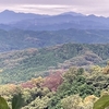 日和田山から見える山