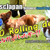 VLOG ディスクドッグ大会 K9DJ ピコ ローリング・デビュー＠宇陀 Sep07.2019 Life with Dogs