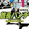 これは小説ですか？