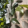 感情を溜め込んでしまうのにも、その人なりの事情があるよね。
