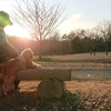 今年最後の狭山公園