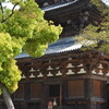 平安の甍　東寺金堂