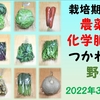 農薬や化学肥料をつかわない野菜（2022年3月第2週購入）