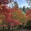 11月のまとめ　（2024-W44〜W48）