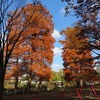 石神井公園_ボート池（東京都練馬区）