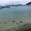 離島へは1泊で行くもんじゃないですね。