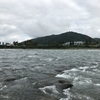 長良川郡上釣行  大和
