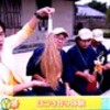 「コキア・ホウキグサ（箒草）」の「草紅葉」が更に色濃く…。