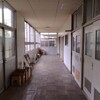 人間の世界に生まれて死ぬということ