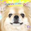 エピ６歳の誕生日