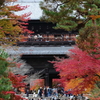 紅葉見頃な南禅寺