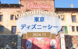 【ディズニーシー】ファンタジースプリングスに行ってきた③｜前回と違う場所でビリーヴを観賞